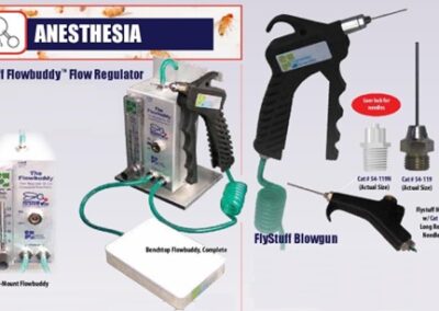 ANESTHESIA